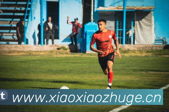 半岛官网在线登录发展历程