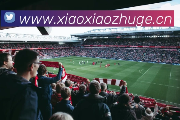 高清流畅体验:俄罗斯世界杯官方直播平台深度解析